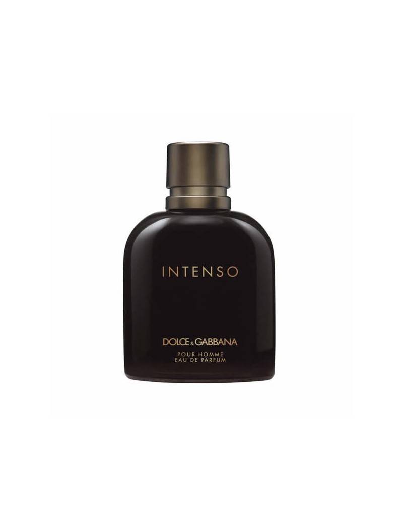 dolce and gabbana intenso eau de parfum spray 125ml exxtros dolce and gabbana intenso eau de parfum spray 125ml exxtros