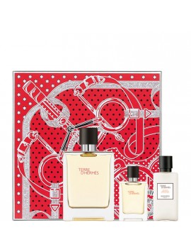 Hermès TERRE D'HERMES Gift Set edt 100sp+mini+dopob